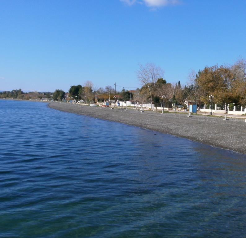Artemis - Marina Apartments Evia Room photo
