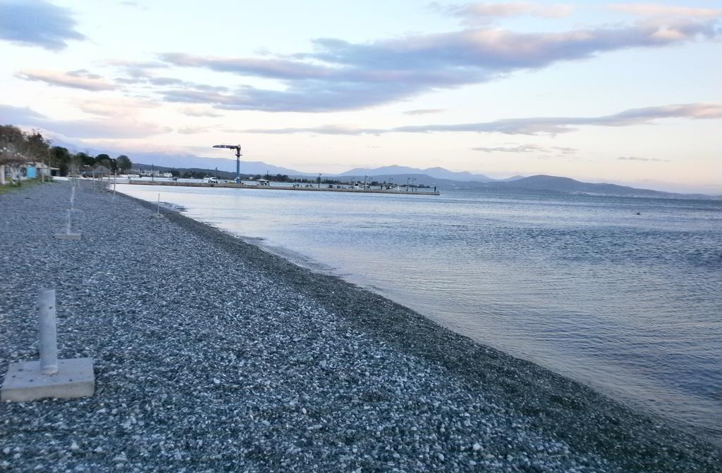 Artemis - Marina Apartments Evia Room photo