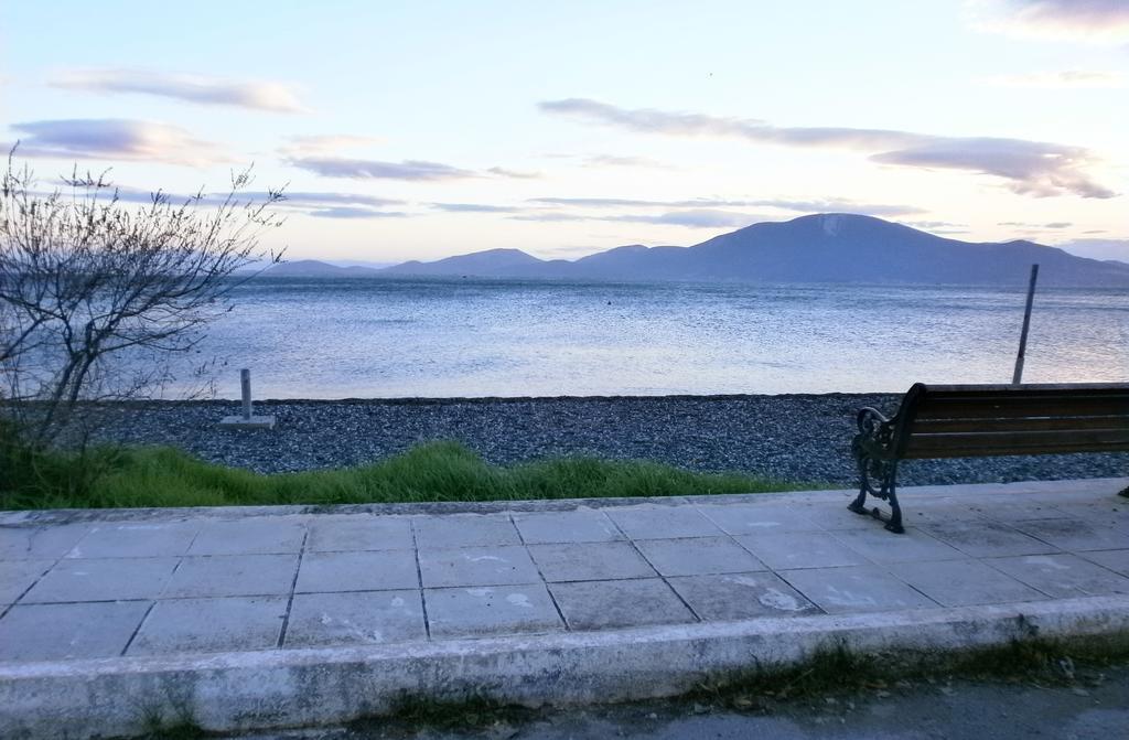 Artemis - Marina Apartments Evia Room photo